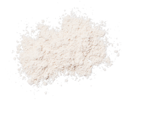 Load image into Gallery viewer, PROTECTION™ SHEER MATTE SPF 30 SUNSCREEN BRUSH